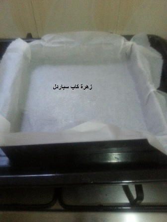 طورطة بلاموس الشكلاط 2