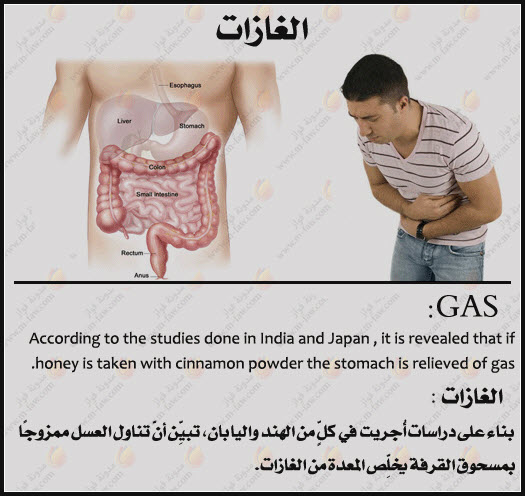 القرفة والعسل 12