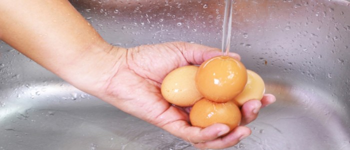 لن تصدق ماذا يحدث عند غسل البيض ووضعه فى الثلاجة