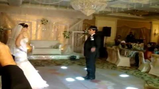 3 ملايين مشاهد لعرض يقدمه عروسان مصريان