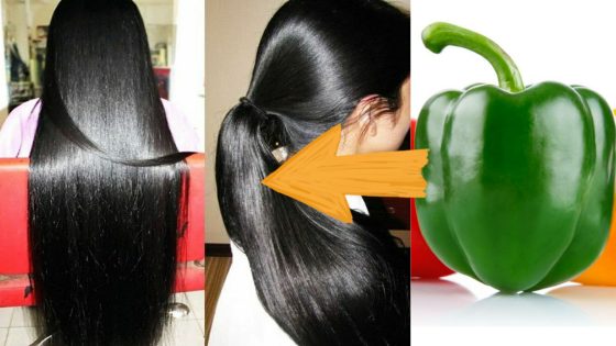 سر الهنديات لتسريع نمو الشعر وعلاج الصلع من الشهر الأول